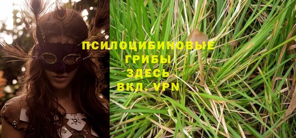 стаф Абинск