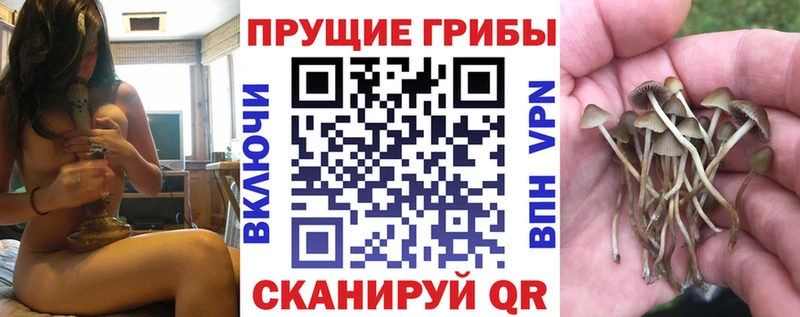 где можно купить наркотик  Чкаловск  Галлюциногенные грибы ЛСД 