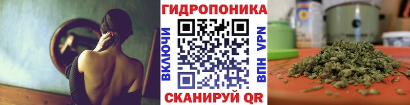 Конопля THC 21%  Чкаловск 